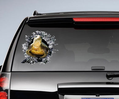 [da0897-snf-tpa]-sea-turtle-crack-car-sticker-turtles-lover