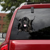 [da1089-snf-tnt]-newfoundland-crack-car-sticker-dogs-lover