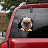 [ld0911-snf-lad]-brussel-griffon-crack-car-sticker-dogs-lover