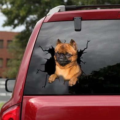 [ld0914-snf-lad]-brussel-griffon-crack-car-sticker-dogs-lover