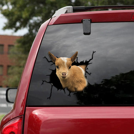 [sk1785-snf-tpa]-nigerian-dwarf-goat-crack-car-sticker-cattle-lover