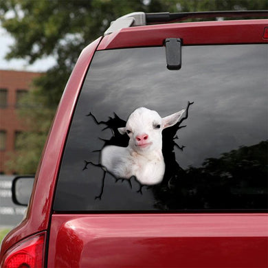 [sk1773-snf-tpa]-pygmy-goat-crack-car-sticker-cattle-lover