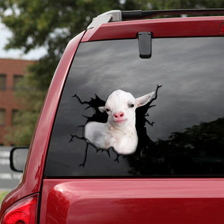 [sk1773-snf-tpa]-pygmy-goat-crack-car-sticker-cattle-lover