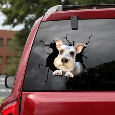 [sk1809-snf-lad]-miniature-schnauzer-crack-sticker-dogs-lover