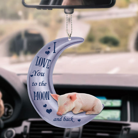 pig-decorate-car