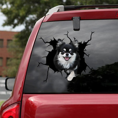 [sk1859-snf-lad]-chihuahua-crack-sticker-dogs-lover