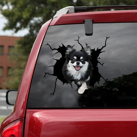 [sk1859-snf-lad]-chihuahua-crack-sticker-dogs-lover
