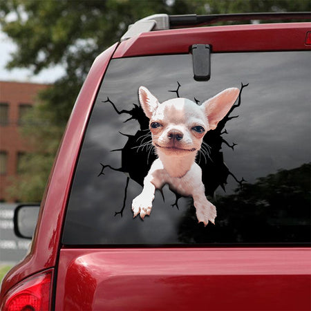 [sk1863-snf-lad]-chihuahua-crack-sticker-dogs-lover