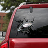 [sk0998-snf-ptd]-cat-fish-crack-car-sticker-fishing-lover