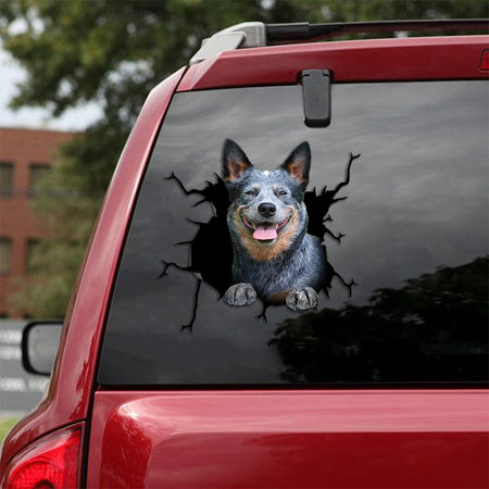 [th0417-snf-tpa]-blue-heeler-crack-car-sticker-dogs-lover