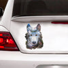 [sk0812-snf-lad]-hiking-wolf-sticker-animals-lover