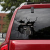 [sk0848-snf-tnt]-drums-crack-sticker