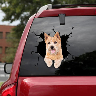 [sk1987-snf-tnt]-norwich-terrier-crack-car-sticker-dogs-lover