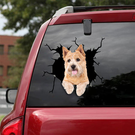 [sk1987-snf-tnt]-norwich-terrier-crack-car-sticker-dogs-lover
