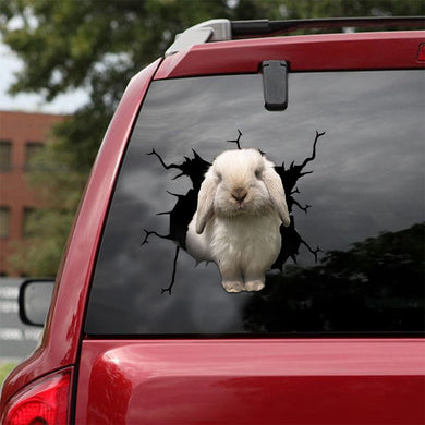 [ld0917-snf-lad]-holland-lop-crack-car-sticker-bunnys-lover