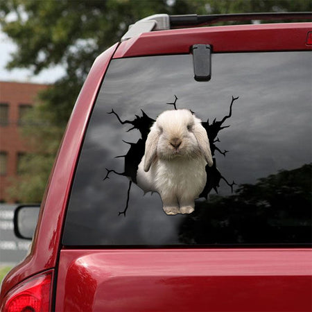 [ld0917-snf-lad]-holland-lop-crack-car-sticker-bunnys-lover