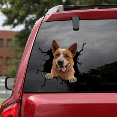 [sk1962-snf-tpa]-red-heeler-crack-car-sticker-dogs-lover