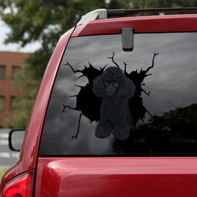 [sk1982-snf-lad]-poodle-crack-car-sticker-dogs-lover
