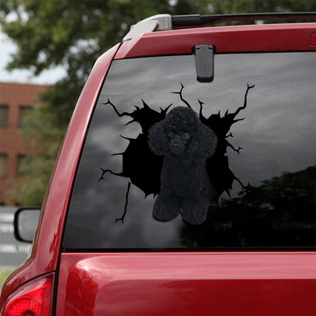 [sk1982-snf-lad]-poodle-crack-car-sticker-dogs-lover