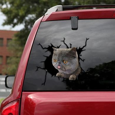 [th0010-snf-lad]-exotic-cat-crack-sticker-cats-lover