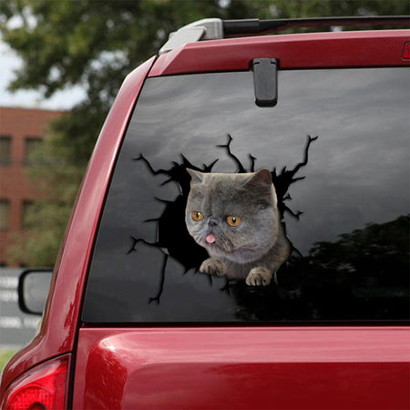 [th0010-snf-lad]-exotic-cat-crack-sticker-cats-lover