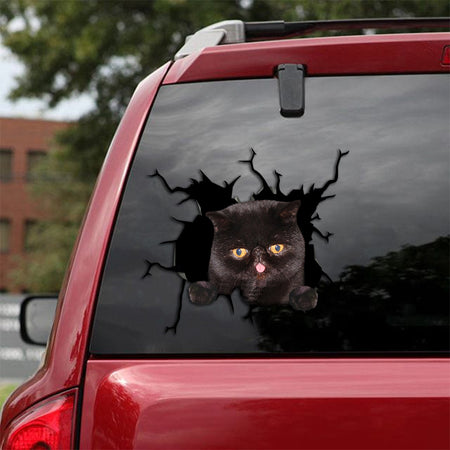 [th0011-snf-lad]-exotic-cat-crack-sticker-cats-lover