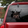 [th0011-snf-lad]-exotic-cat-crack-sticker-cats-lover