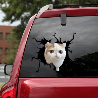 [th0012-snf-lad]-exotic-cat-crack-sticker-cats-lover