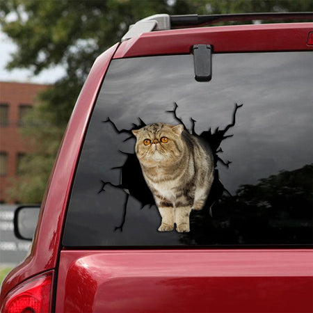 [th0014-snf-lad]-exotic-cat-crack-sticker-cats-lover