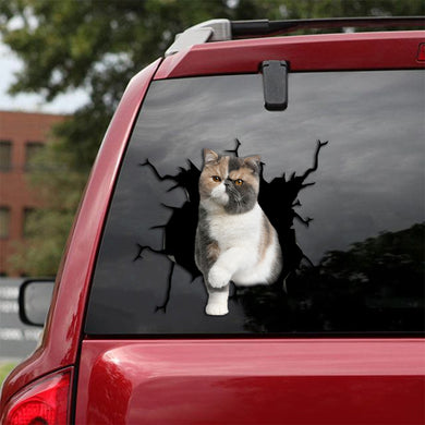 [th0015-snf-lad]-exotic-cat-crack-sticker-cats-lover