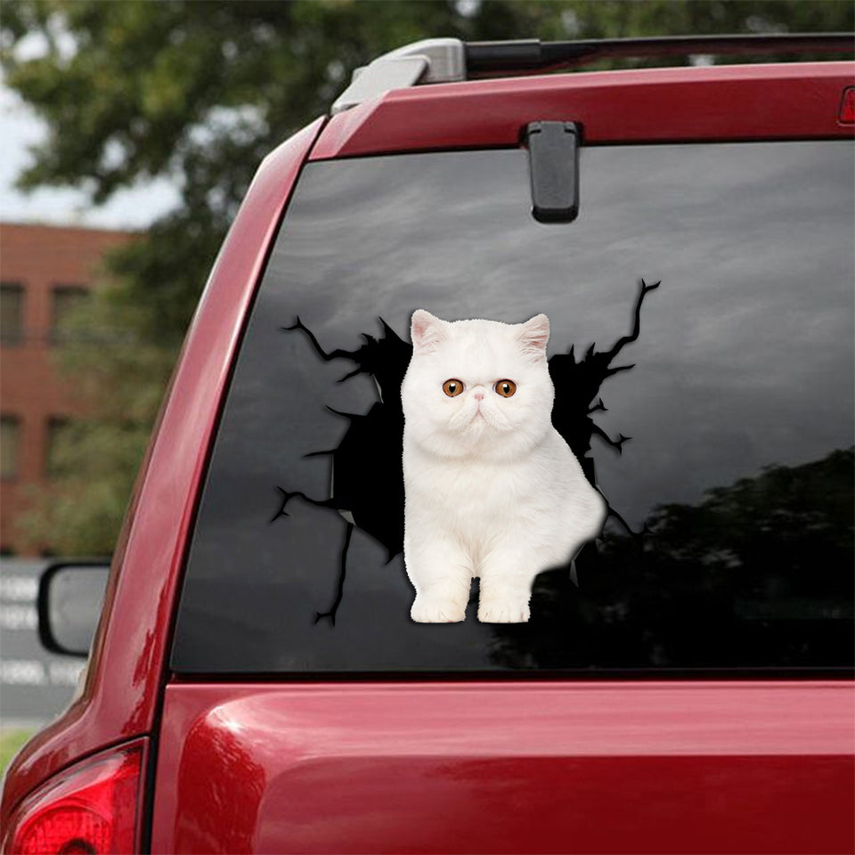[th0016-snf-lad]-exotic-cat-crack-sticker-cats-lover