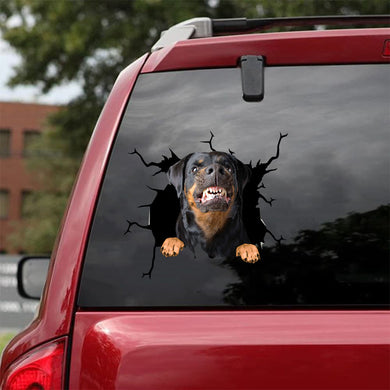 [da0429-snf-tnt]-rottweiler-crack-car-sticker-dogs-lover
