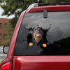 [da0429-snf-tnt]-rottweiler-crack-car-sticker-dogs-lover
