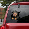 [da0426-snf-tnt]-rottweiler-crack-car-sticker-dogs-lover