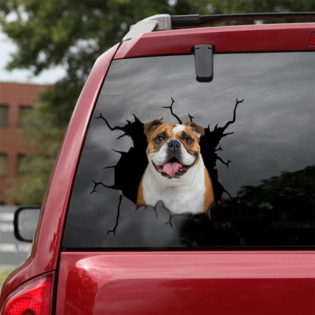 [sk0942-snf-lad]-english-bulldog-crack-car-sticker-dogs-lover