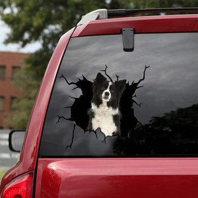 [sk0937-snf-lad]-border-collie-crack-car-sticker-dogs-lover