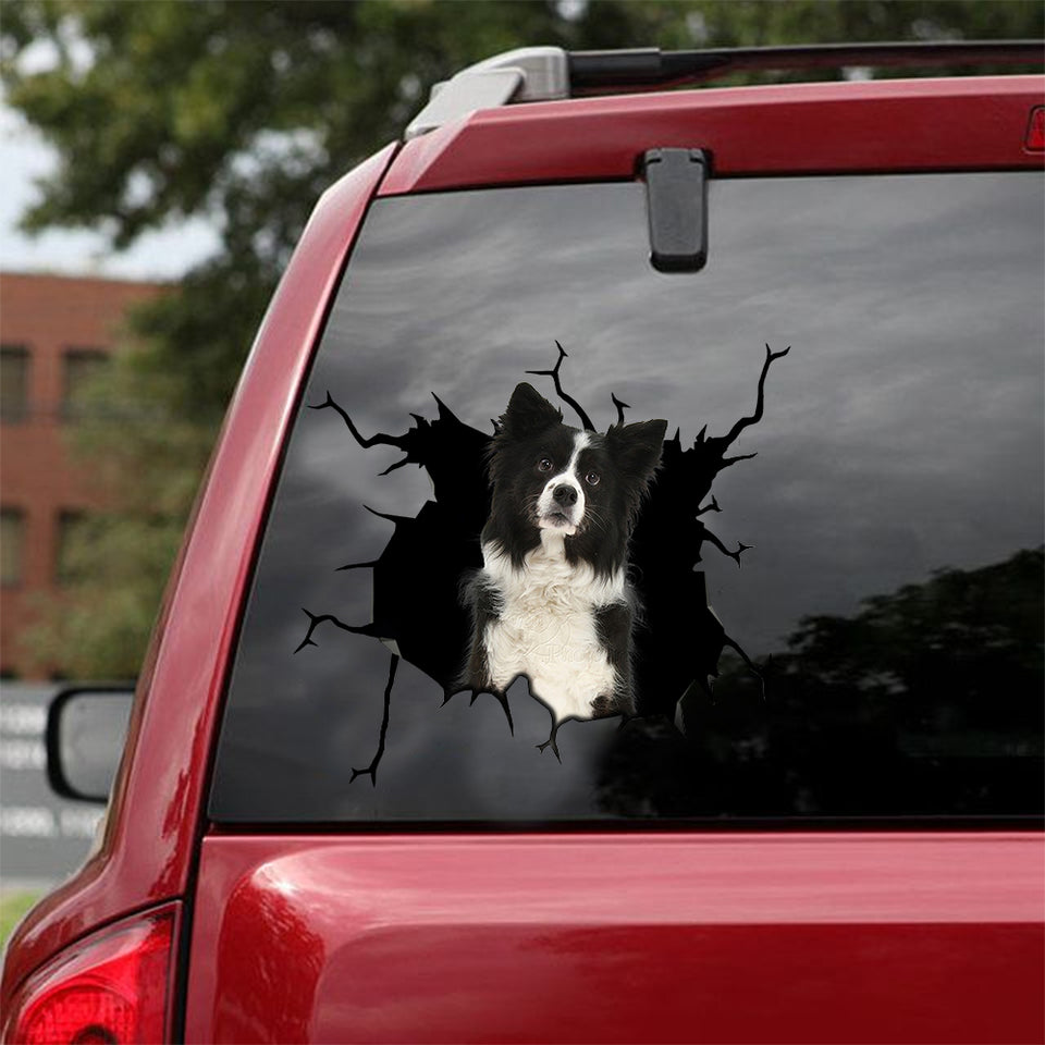 [sk0937-snf-lad]-border-collie-crack-car-sticker-dogs-lover