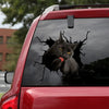 [ld0099-snf-lad]-black-cat-crack-car-sticker-cats-lover