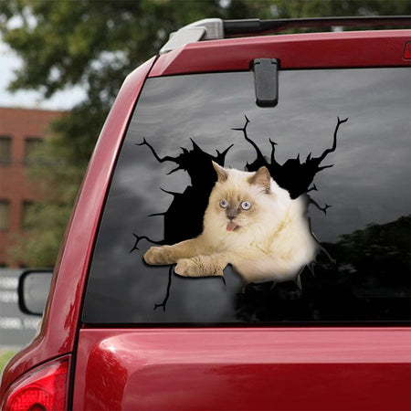 [ld0011-snf-lad]-ragdoll-cat-crack-sticker-cats-lover
