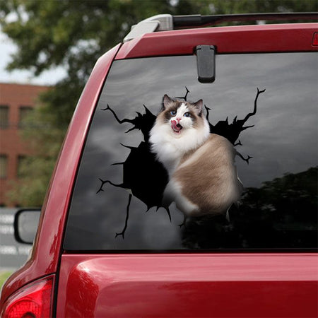 [ld0012-snf-lad]-ragdoll-cat-crack-sticker-cats-lover