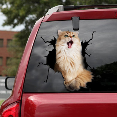 [ld0014-snf-lad]-ragdoll-cat-crack-sticker-cats-lover