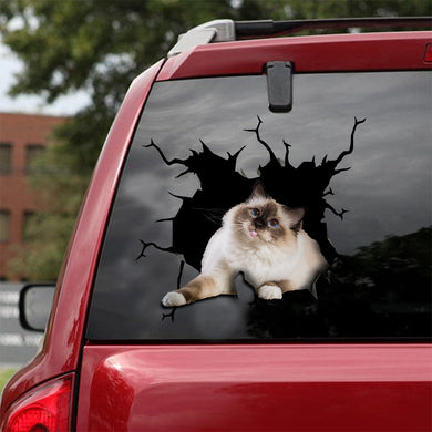 [ld0015-snf-lad]-ragdoll-cat-crack-sticker-cats-lover