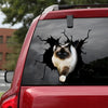 [ld0016-snf-lad]-ragdoll-cat-crack-sticker-cats-lover