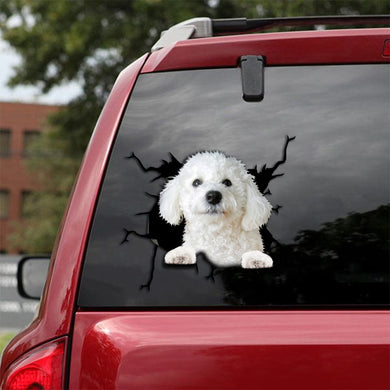 [th0027-snf-tpa]-bichon-frise-crack-car-sticker-dogs-lover