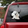 [th0027-snf-tpa]-bichon-frise-crack-car-sticker-dogs-lover