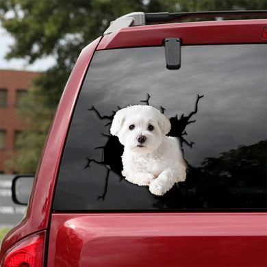[th0022-snf-tpa]-maltese-crack-sticker-dogs-lover