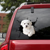 [th0022-snf-tpa]-maltese-crack-sticker-dogs-lover
