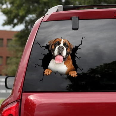 [da0873-snf-tnt]-boxer-crack-car-sticker-dogs-lover
