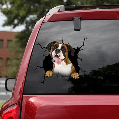 [da0874-snf-tnt]-boxer-crack-car-sticker-dogs-lover