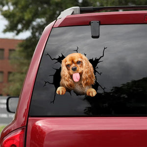 [da0861-snf-tnt]-cocker-spaniel-crack-car-sticker-dogs-lover